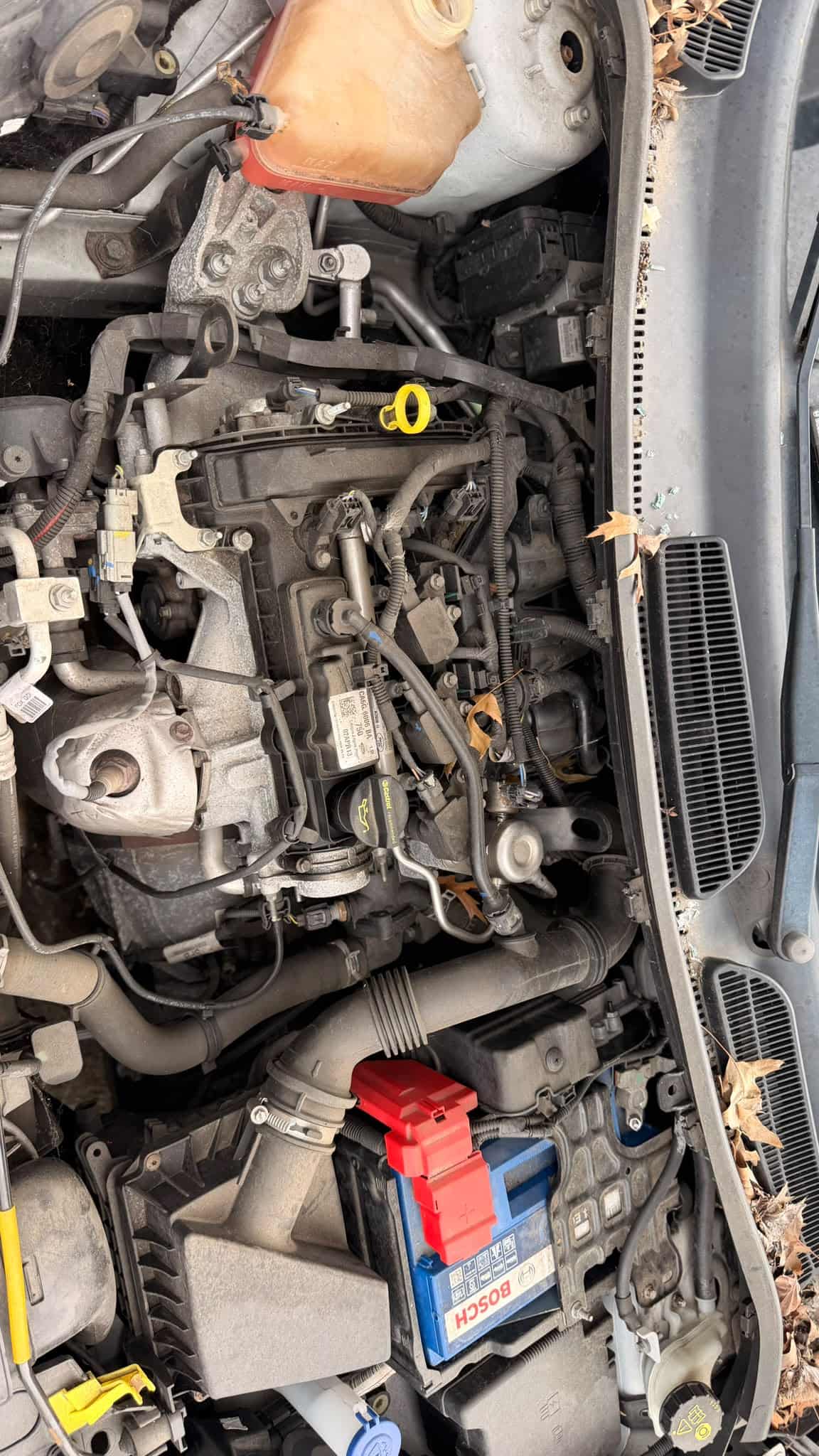 MOTEUR 